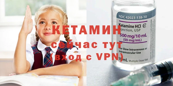 сатива Козельск