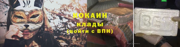 сатива Козельск