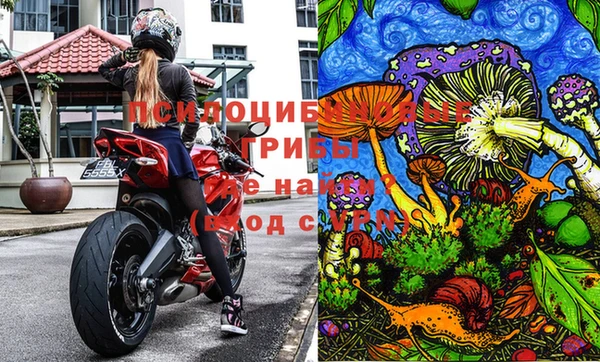 дживик Козловка