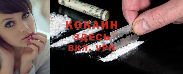 дживик Козловка