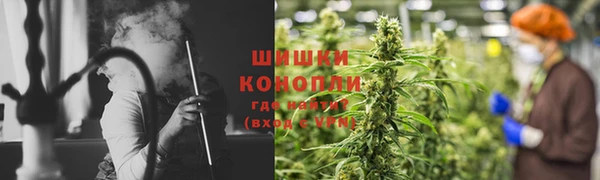 дживик Козловка