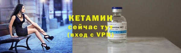 сатива Козельск
