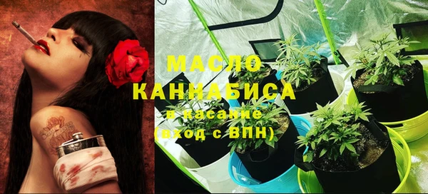сатива Козельск