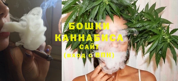 дживик Козловка