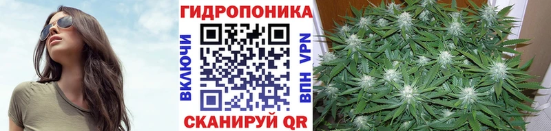 Купить  Озёрск  Бошки марихуана конопля 